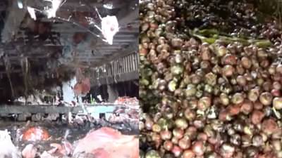 कांदा पुन्हा रडवतोय, सरकारच्या नाफेड ला देखील बसला फटका