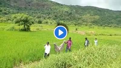 ना रस्ता, ना रुग्णवाहिका! उपचारासाठी झोळी करुन 6 किमी पायपीट