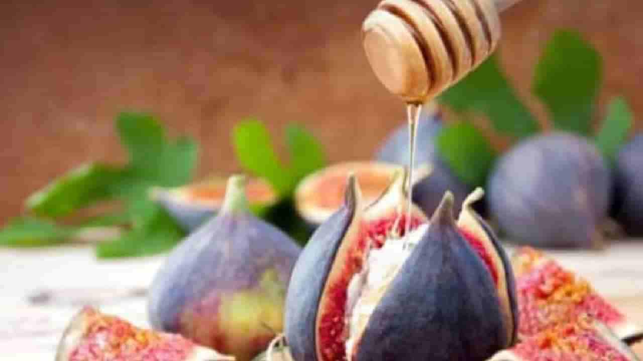 Figs Benefits: अंजीर खाल्याने शुगर लेव्हल राहते नियंत्रणात, तज्ज्ञांनी सांगितले अनेक फायदे