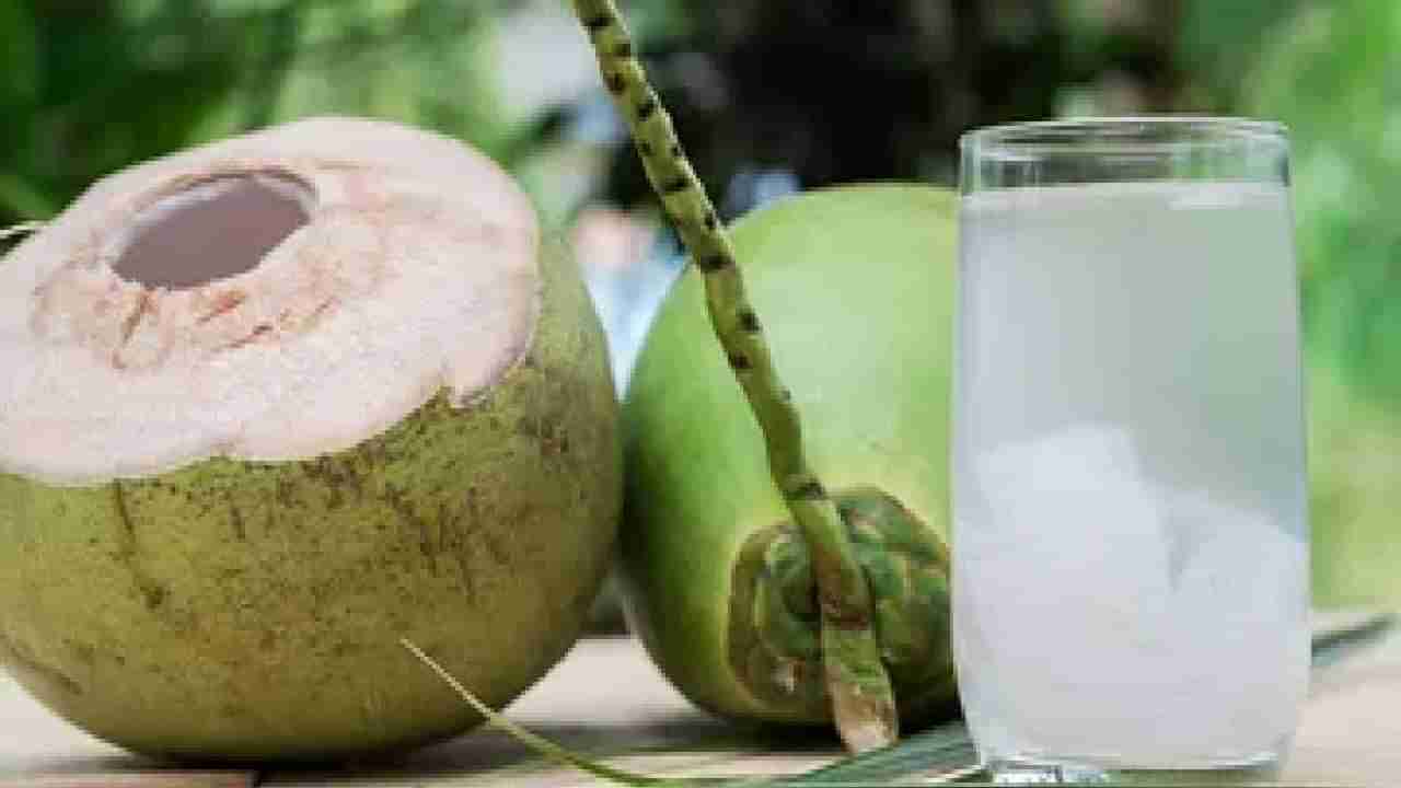Side Effects of Coconut Water: प्रत्येकासाठी फायदेशीर नसते नारळपाणी, या लोकांना होऊ शकतो त्रास