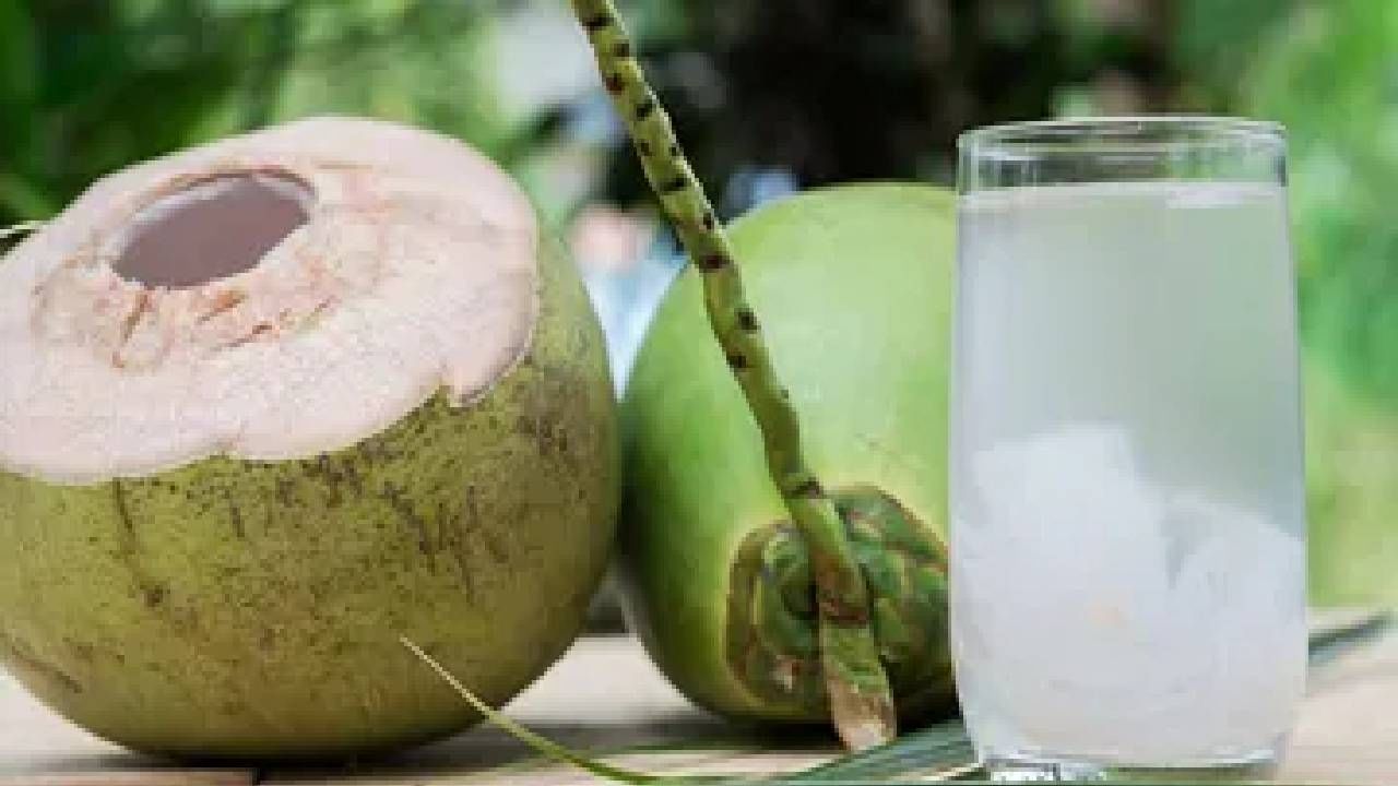 Side Effects of Coconut Water: प्रत्येकासाठी फायदेशीर नसते नारळपाणी, 'या' लोकांना होऊ शकतो त्रास