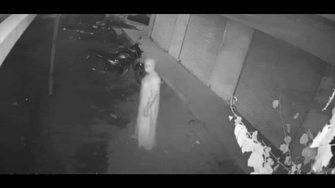 'या' शहरात महिलेच्या वेशात माणसासारखी चालणारी 'ही' व्यक्ती कोण?