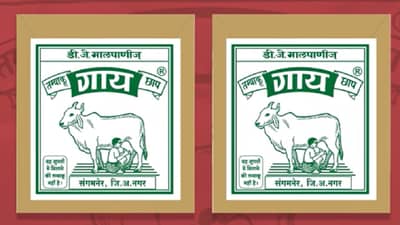 घे चुना मळ पुन्हा... महाराष्ट्रातून प्रकल्प बाहेर जात असताना सोशल मीडियावर गायछाप ब्रँड चर्चेत