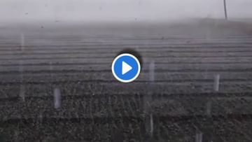 Video : आधी पुरामुळे नुकसान, आता गारपिटीचा फटका! बळीराजाच्या डोळ्यांदेखत कांद्याचं पीक भुईसपाट