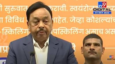 उगवत नाही, फुलत नाही, वास येत नाही, असा चाफा फक्त इथंच, नारायण राणे पुन्हा बरसले