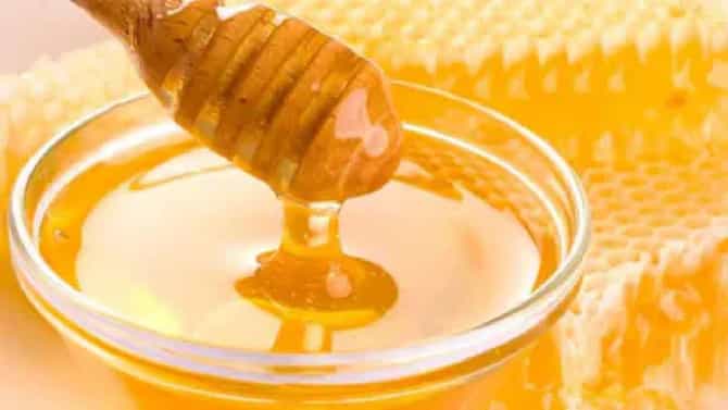 Honey in Diabetes: मधुमेहाच्या रुग्णांनी मधाचे सेवन करणे योग्य की अयोग्य ? जाणून घ्या