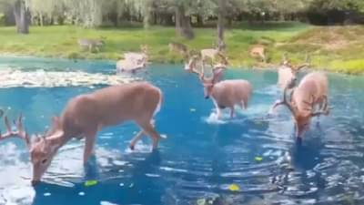 जणू काही स्वर्गच पृथ्वीवर उतरलाय! तुम्ही म्हणाल ही जागा पृथ्वीवर नाहीच!