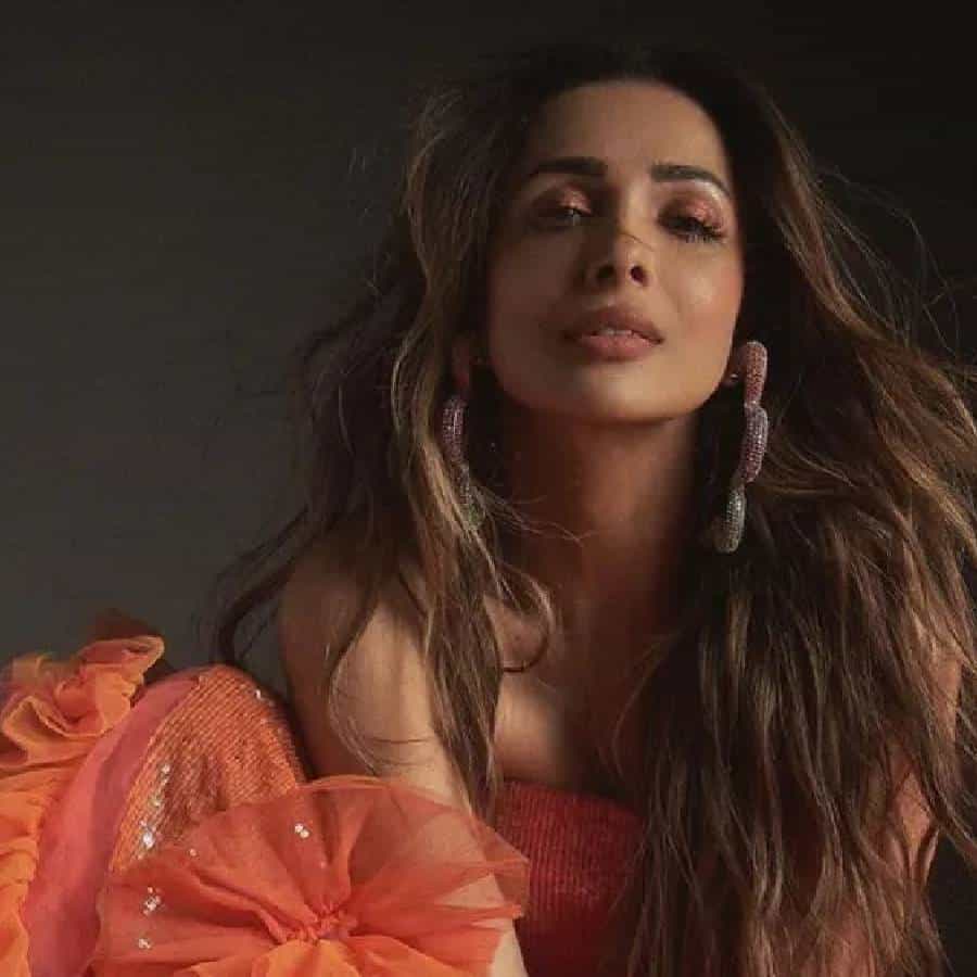 मलायका अरोरा नेहमीच सोशल मीडियावर ग्लॅमरस आणि बोल्ड फोटो शेअर करते. मलायकाच्या फोटोंमुळे इंटरनेटचा पारा कायमच वाढतो.