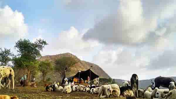 वेठबिगारी कधी रोखणार ? ती बालिका दररोज म्हणायची मला घरी नेवून सोडा, तरीही...