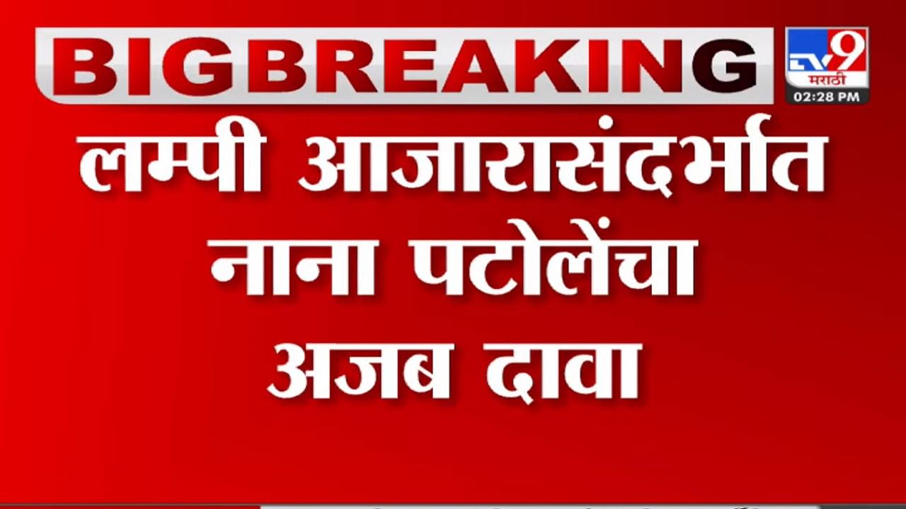 लम्पी आजाराबाबात नाना पटोले यांचा अजब आणि अत्यंत हास्यास्पद दावा