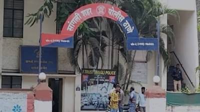 सांगलीची गाढवं चीनला हवीहवीशी, कशी पोहोचली सांगलीची गाढवं चीनमध्ये...