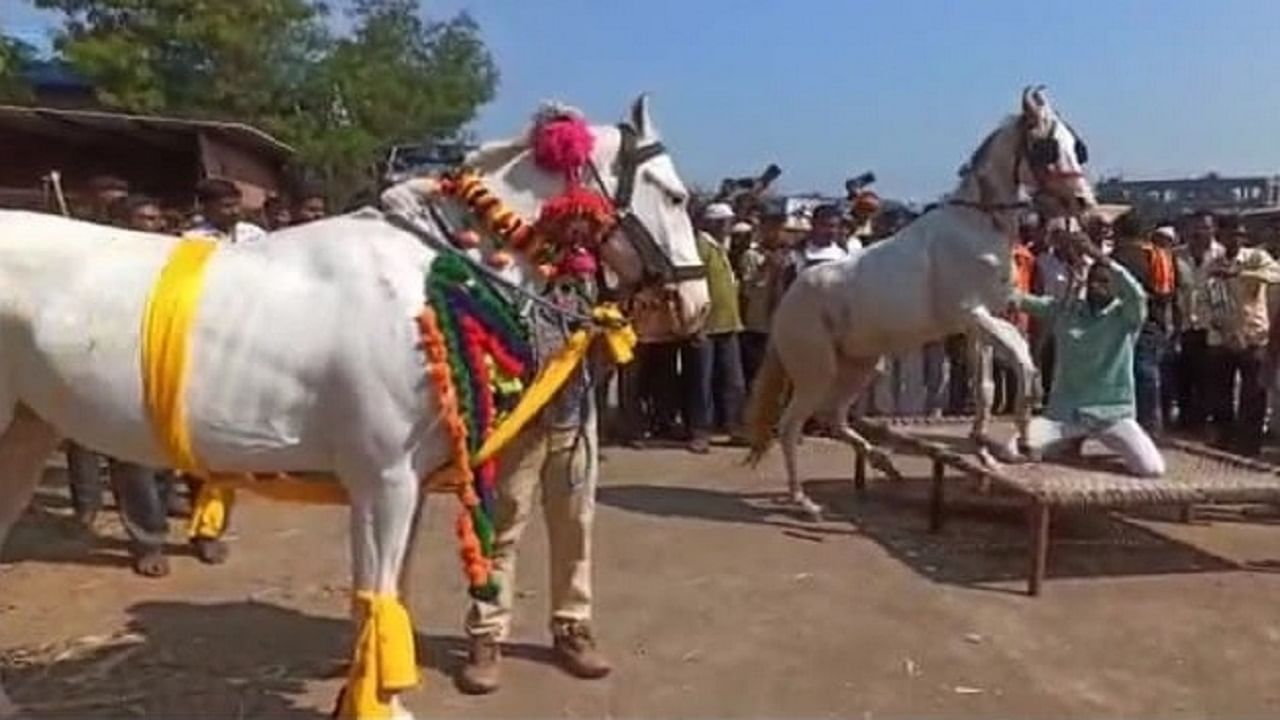 देशातील सर्वात मोठा घोड्यांचा बाजार कुठे भरला?