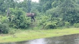 रसायन वापरून तयार केली जात होती दारू, पोलिसांची मोठी कारवाई