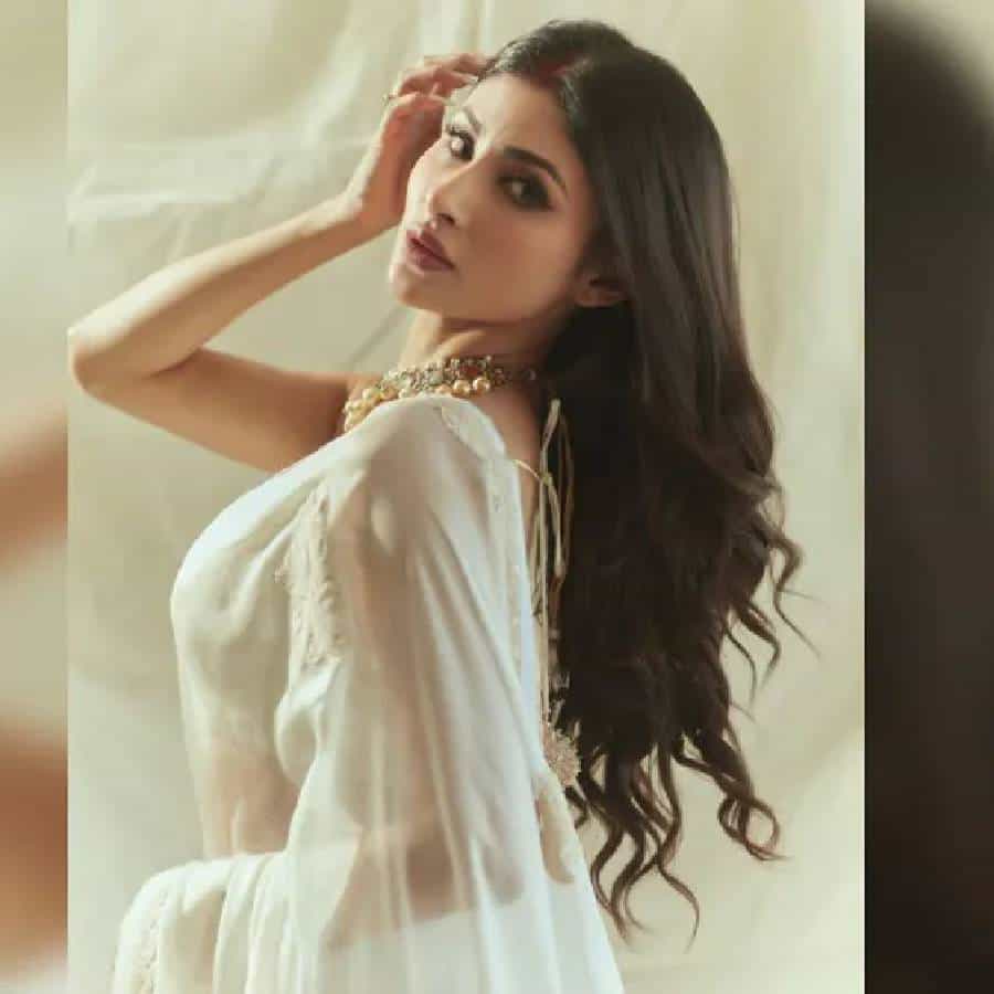 मौनी रॉय गेल्या अनेक दिवसांपासून चर्चेत आहे. मौनी रॉय सोशल मीडियावर दररोज अनेक फोटो शेअर करते.