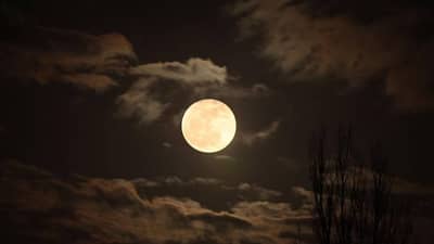 Kojagiri Purnima 2022: या तारखेला आहे कोजागिरी पौर्णिमा, चंद्राच्या प्रकाशात दूध आटविण्यामागे काय आहे कारण?