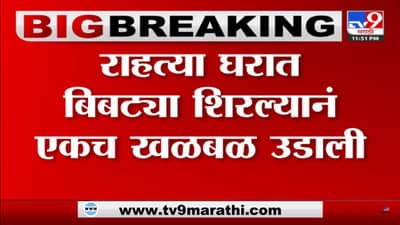 राहत्या घरात बिबट्या शिरला आणि… थरार कॅमेऱ्यात कैद