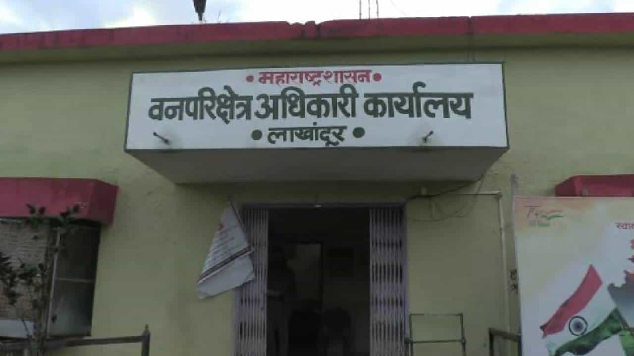 नरभक्षक वाघाची दहशत, वन विभागाची तीन पथकं वाघाच्या शोधात