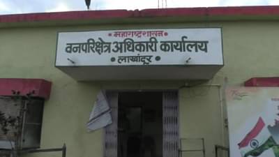 नरभक्षक वाघाची दहशत, वन विभागाची तीन पथकं वाघाच्या शोधात