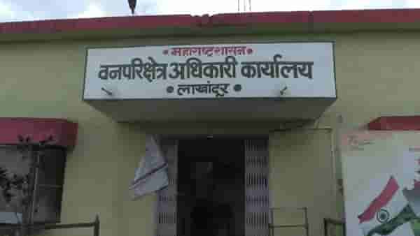 नरभक्षक वाघाची दहशत, वन विभागाची तीन पथकं वाघाच्या शोधात
