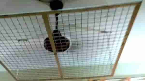 मुलांच्या हॉस्टेल मधील फोटो व्हायरल! सगळ्यांनाच प्रश्न पडला पंखे असे का आहेत?