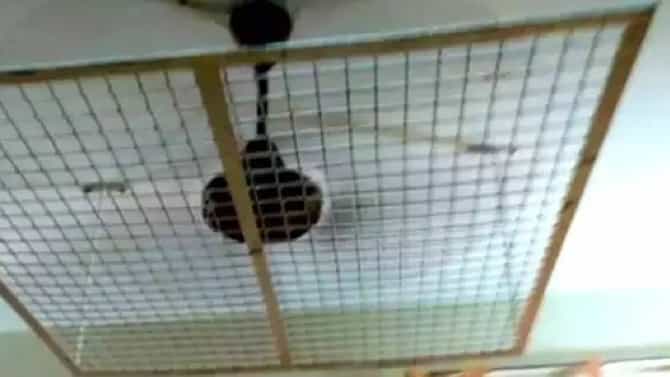 मुलांच्या हॉस्टेल मधील फोटो व्हायरल! सगळ्यांनाच प्रश्न पडला पंखे असे का आहेत?