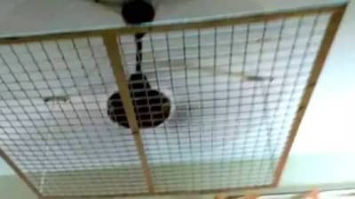 मुलांच्या हॉस्टेल मधील फोटो व्हायरल! सगळ्यांनाच प्रश्न पडला पंखे असे का आहेत?