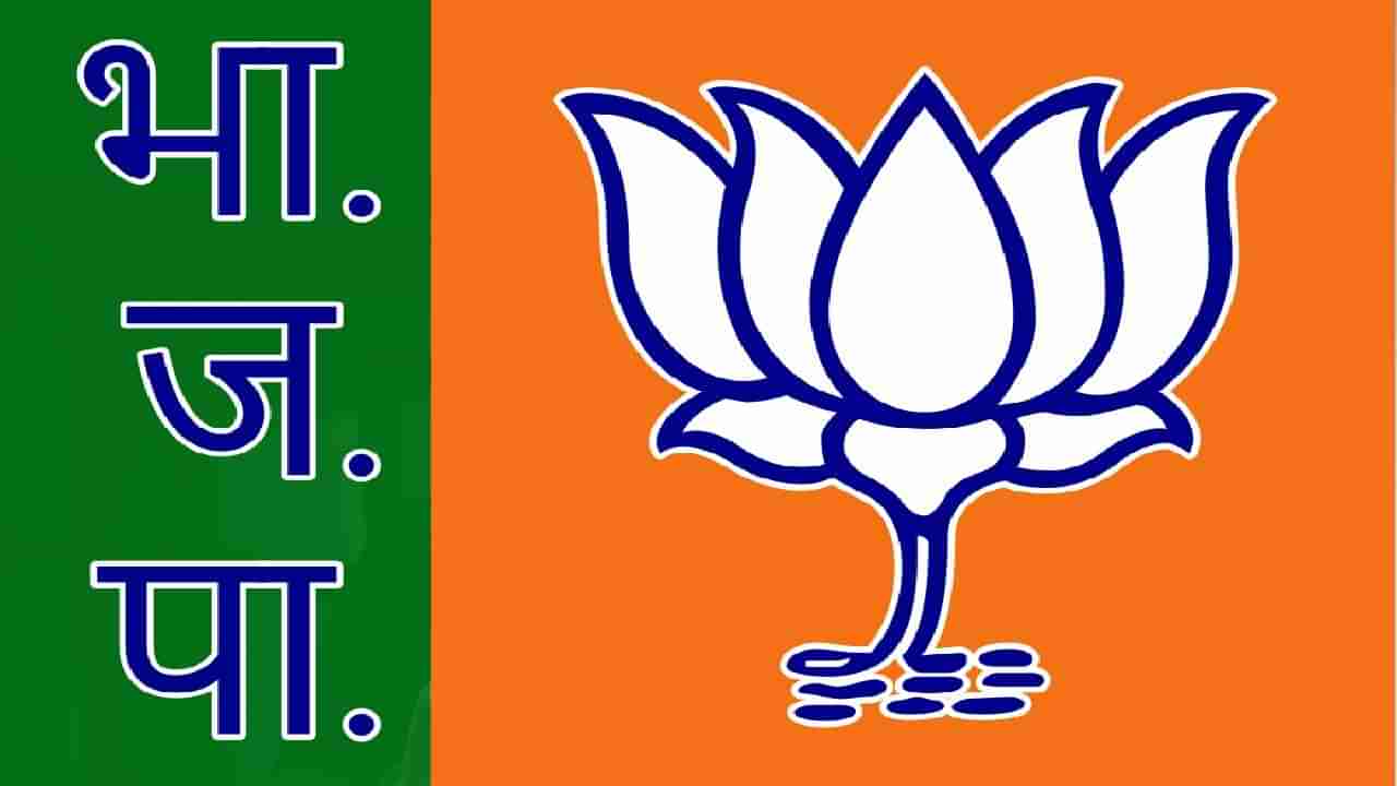 ओवीसींच्या कंडोम विधानावरुन भाजप नेत्यानं एकाच वाक्यात दिलं उत्तर...