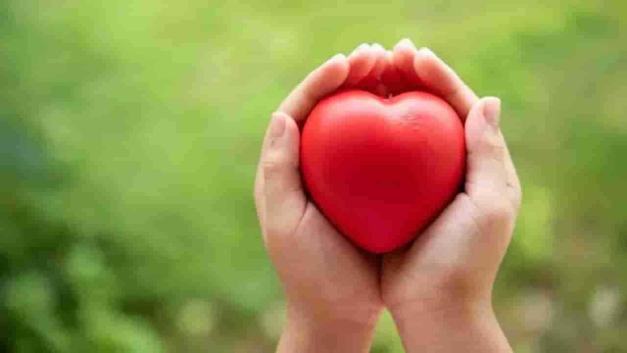 Food For Healthy Heart: निरोगी हृदयासाठी रोज खा  हे  पदार्थ