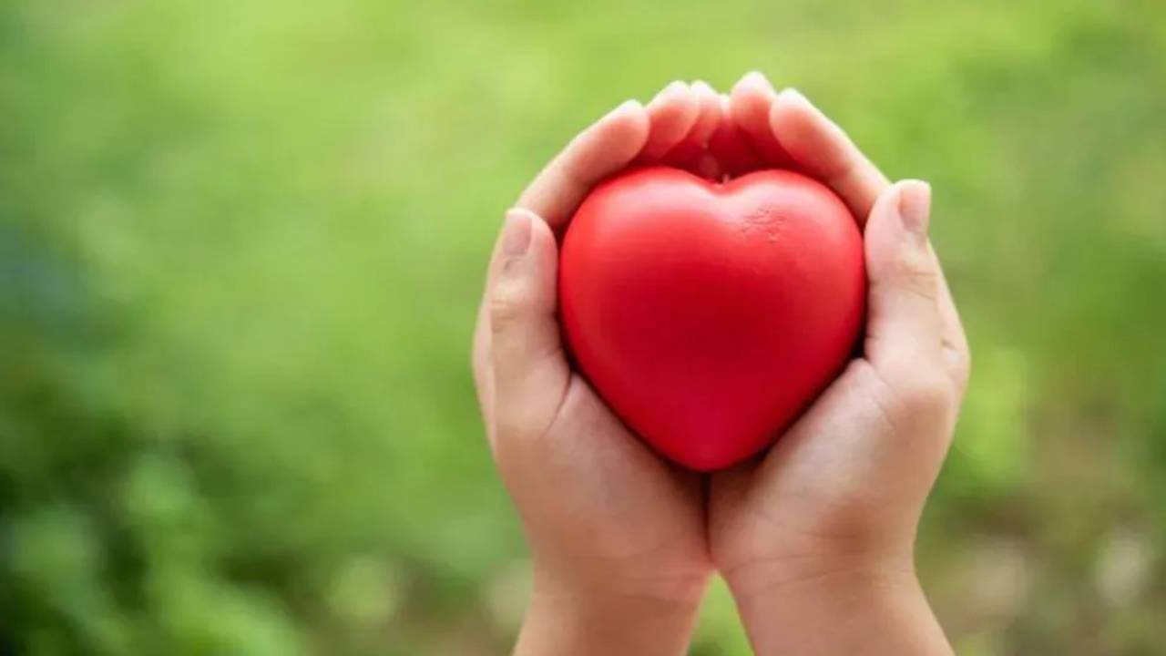 Food For Healthy Heart: निरोगी हृदयासाठी रोज खा ' हे ' पदार्थ