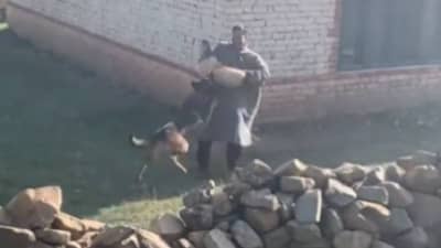 लष्कराचा कुत्रा Zoom! अतिरेक्यांना ओळखलं, त्यांच्यावर हल्ला करायला गेला...लष्कराकडून व्हिडीओ शेअर, Zoom चे कारनामे माहित आहेत का?