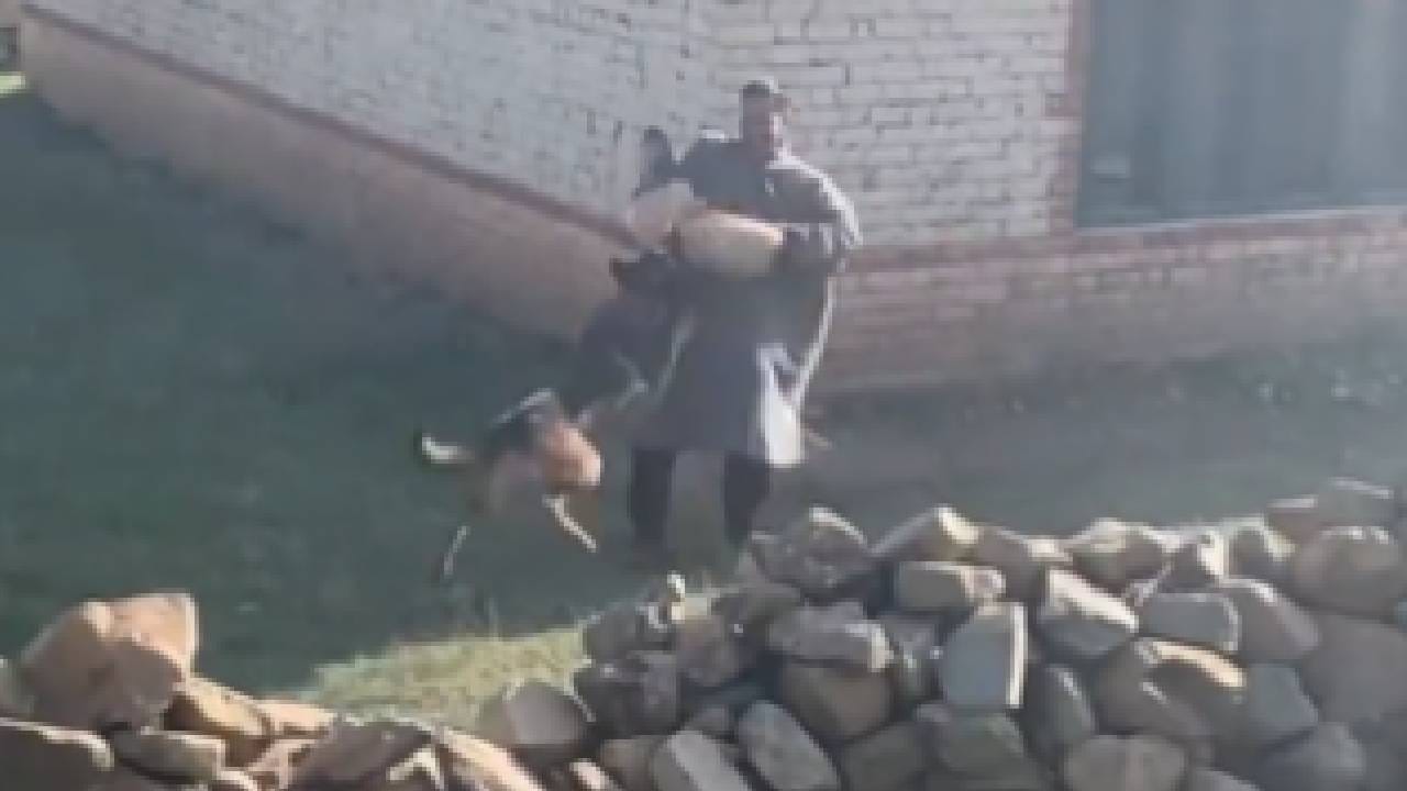 लष्कराचा कुत्रा Zoom! अतिरेक्यांना ओळखलं, त्यांच्यावर हल्ला करायला गेला...लष्कराकडून व्हिडीओ शेअर, Zoom चे कारनामे माहित आहेत का? लष्कराचा कुत्रा Zoom! अतिरेक्यांना ओळखलं, त्यांच्यावर हल्ला करायला गेला...लष्कराकडून व्हिडीओ शेअर, Zoom चे कारनामे माहित आहेत का?