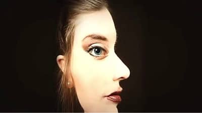 गोंधळून टाकणारं चित्र! चित्रात दिसणारा चेहरा नेमका कुठल्या दिशेला? सांगा