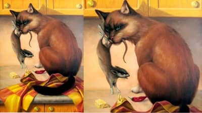 वो लड़की है कहा? या चित्रात एक स्त्री लपलीये, कुठे आहे? सांगा