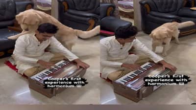 हार्मोनियमच्या धूनवर कुत्रा झाला तल्लीन; व्हिडिओ पाहणारे घेताहेत ह्रदयस्पर्शी अनुभव
