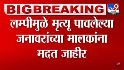 लम्पीमुळे मृत पावलेल्या जनावरांच्या मालकांना मदत जाहीर! कुणाला किती आर्थिक साहाय्य? जाणून घ्या!