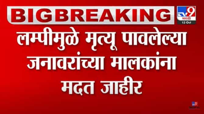 लम्पीमुळे मृत पावलेल्या जनावरांच्या मालकांना मदत जाहीर! कुणाला किती आर्थिक साहाय्य? जाणून घ्या!