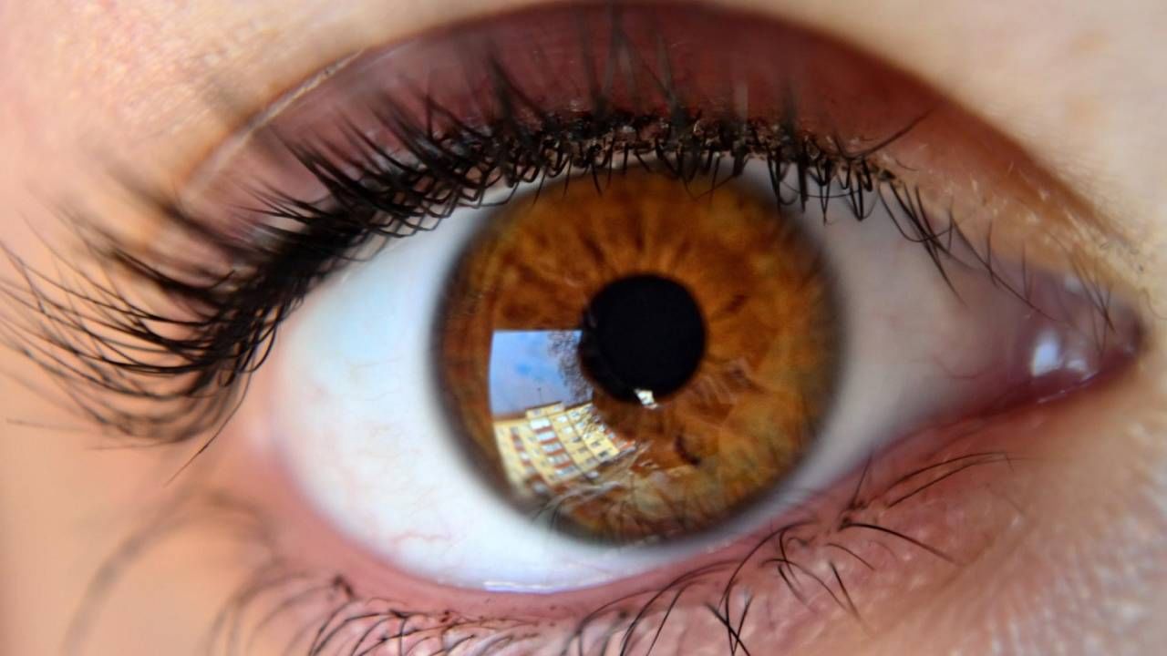 World Sight Day 2022: डोकेदुखी ही केवळ न्यूरोची समस्या नव्हे, असू शकते डोळ्यांच्या आजाराचे लक्षण