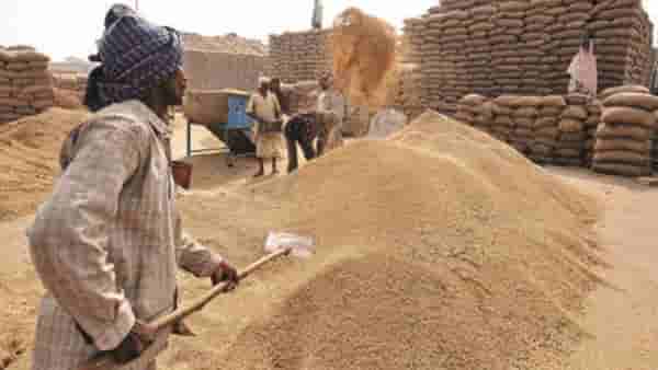 Grain Stock : देशात पहिल्यांदाच धान्याचा तुटवडा ? बंपर स्टॉक झरझर घसरला, कारण तरी काय..
