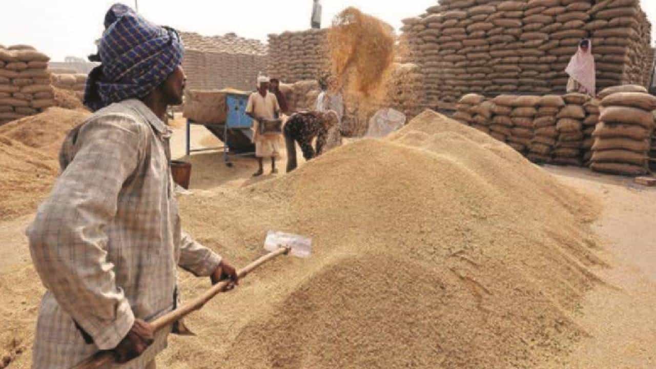 Grain Stock : देशात पहिल्यांदाच धान्याचा तुटवडा ? बंपर स्टॉक झरझर घसरला, कारण तरी काय..