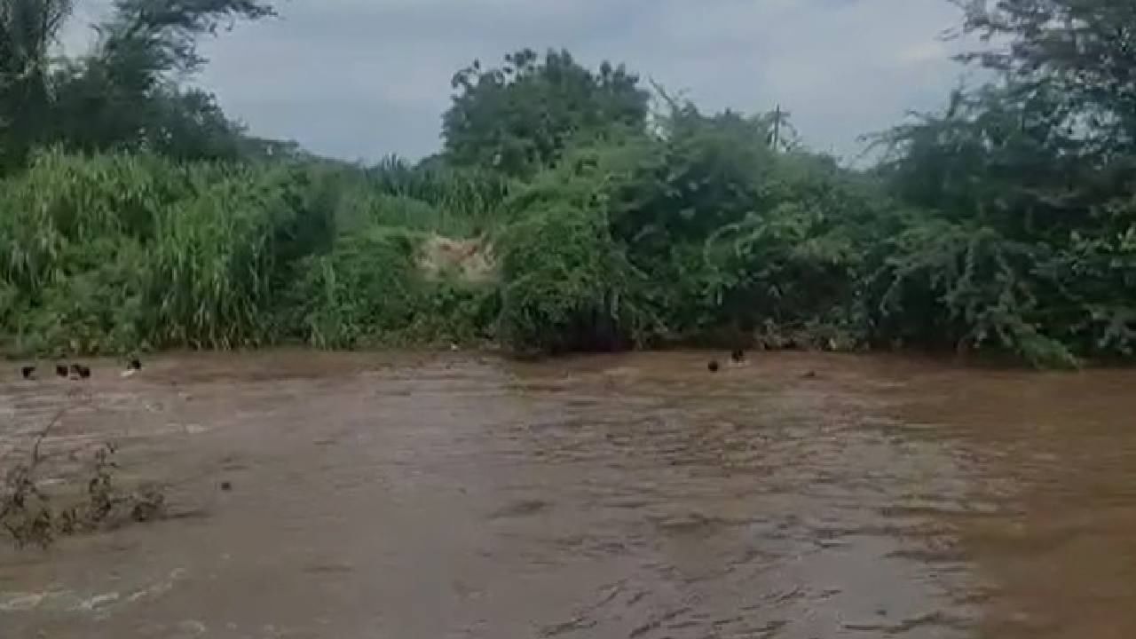 Video : काळ आला होता पण... ते दूत बनून धावून आले अन् हे थोडक्यात बचावले !