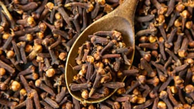 Clove Home Remedies: आरोग्याच्या या 6 समस्यांवर लवंग ठरते उपयोगी; जाणून घ्या फायदे