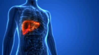 लिव्हर खराब झाले की नाही असे ओळखा, ही लक्षणे जाणवत असतील तर लगेच व्हा सावध!