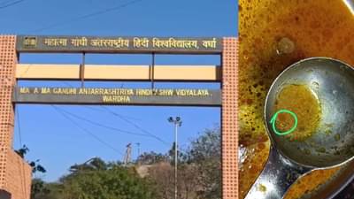 वसतिगृहातील भोजनात सापडल्या अळ्या, निकृष्ट भोजन मिळत असल्याचा विद्यार्थ्यांचा आरोप