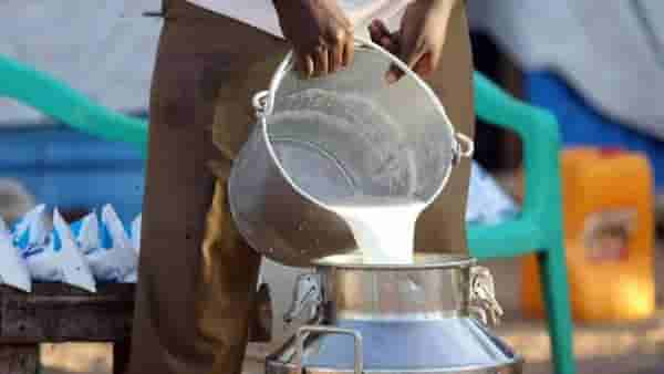 Milk : दुधाला महागाईची उकळी, 8 महिन्यांत झपझप वाढले भाव, आता दर वाढणार का?