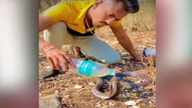 तहानलेल्या सापाला पाणी पाजणारा देवमाणूस!