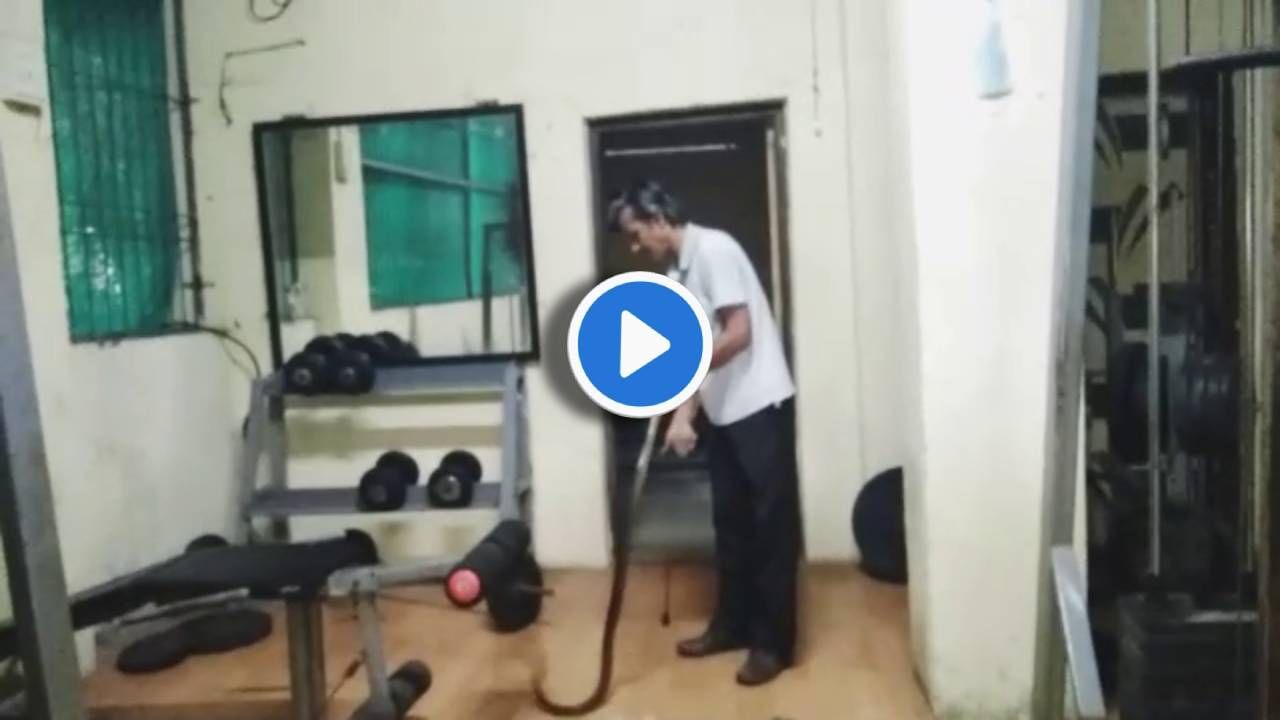 Video : जिममध्ये घुसला भलामोठा साप, व्यायाम करणारे पैलवान म्हणाले 'बापरे बाप'!