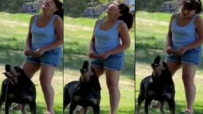 खरंच! कुत्रा चक्क माणसासारखा बोलू लागला तर... व्हिडिओतील या करामती पाहून तुम्हीही थक्क व्हाल