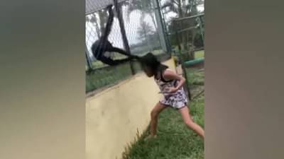 माकडचाळे नेमके काय असते, मुलीने घेतली याची प्रचिती; व्हिडिओ पाहून तुम्हीही विचारात पडाल