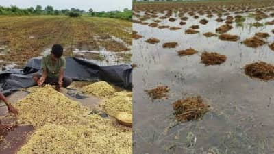 स्वप्न सोडाच मूलभूत गरजाही वाहून गेल्या, मायबाप सरकार मदत कधी करणार ?