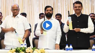 Sharad Pawar : माझे सासरे शिंदे शरद पवारांच्या वक्तव्यावर देवेंद्र फडणवीस यांचं उत्तर ऐकण्यासारखंय!